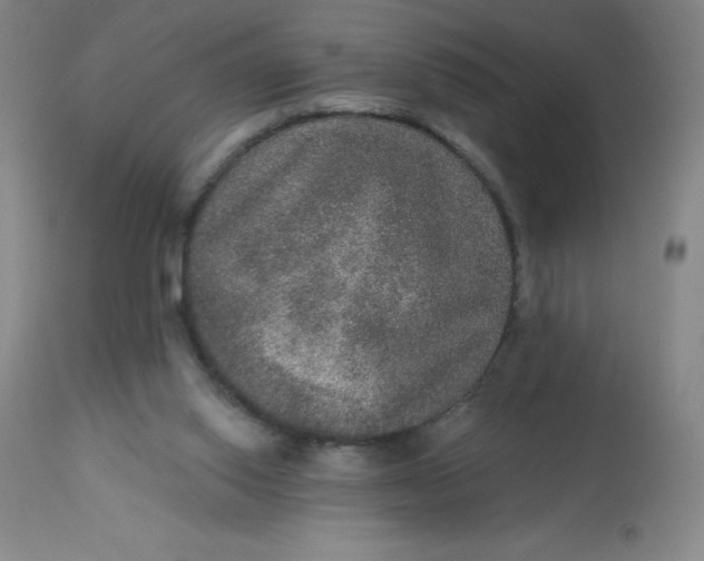 X0000113630062200910091605