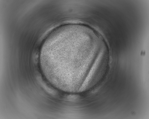 X0000113630063200910091605