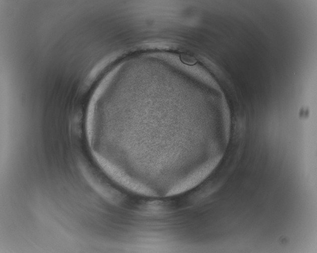 X0000113630064200910091605