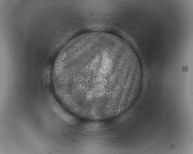 X0000113630065200910091605