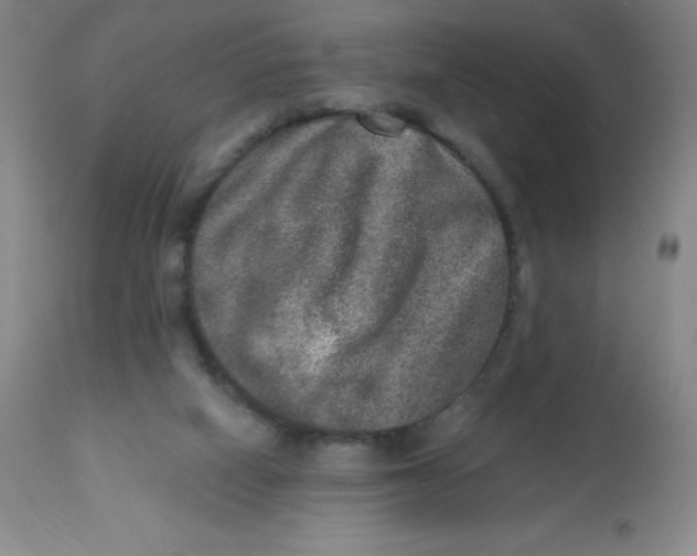 X0000113630066200910091605