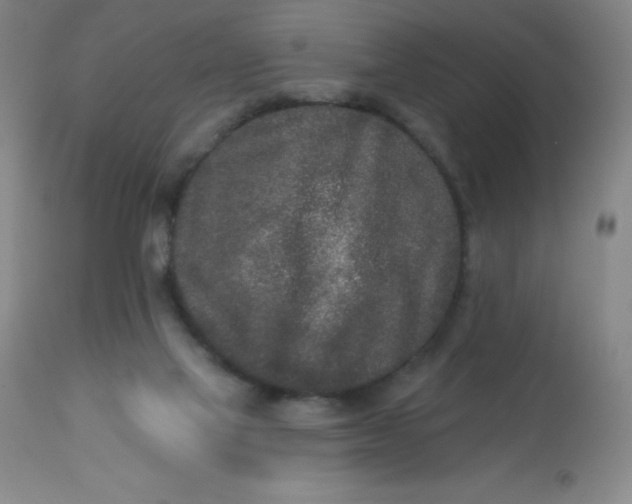 X0000113630069200910091605