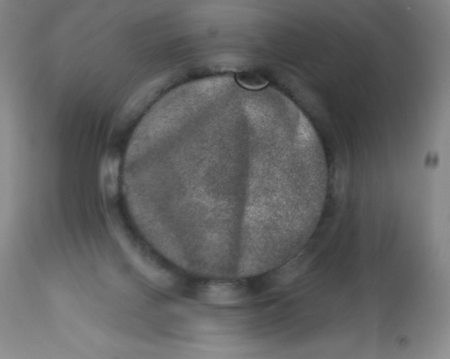 X0000113630070200910091605