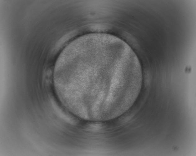 X0000113630071200910091605