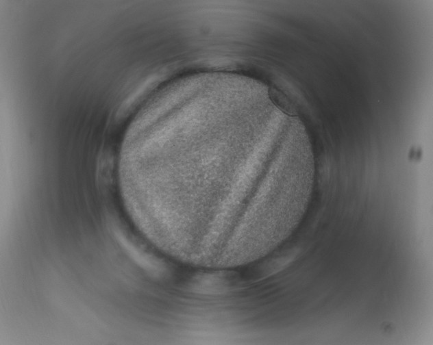 X0000113630072200910091605