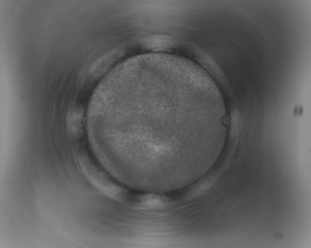 X0000113630073200910091605