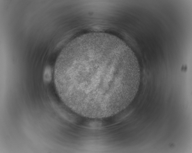 X0000113630075200910091605