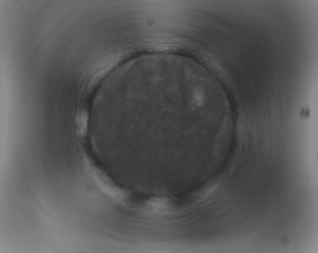 X0000113630076200910091605