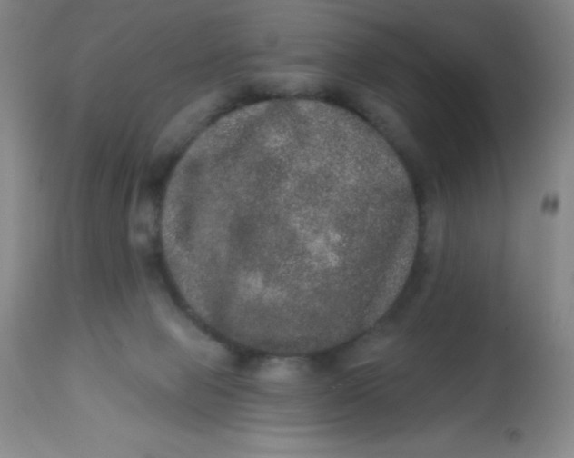 X0000113630077200910091606