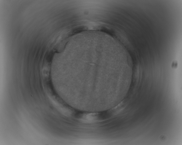 X0000113630078200910091606