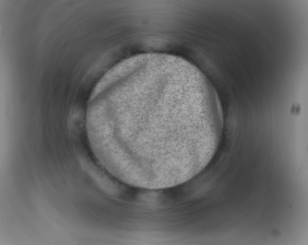 X0000113630079200910091606