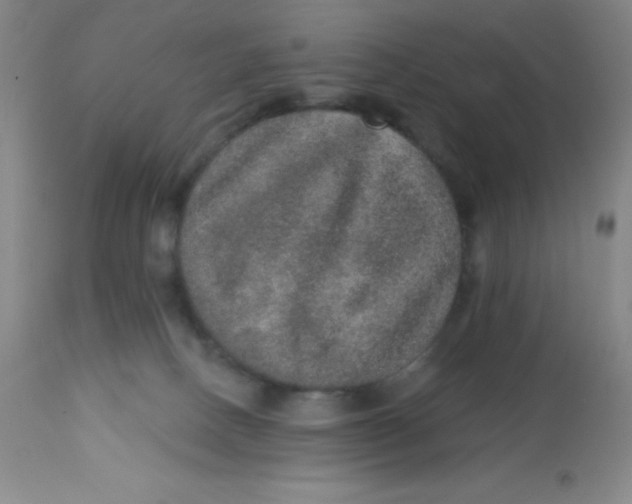 X0000113630082200910091606