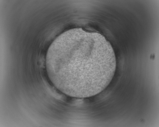 X0000113630083200910091606