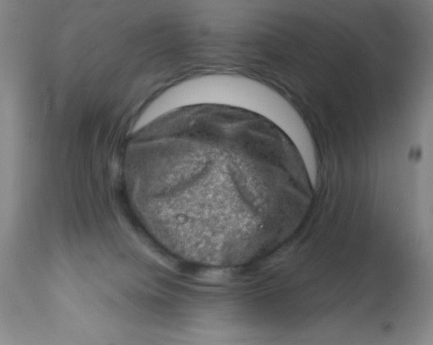 X0000113630084200910091606