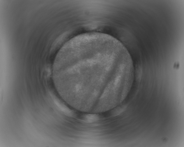 X0000113630085200910091606