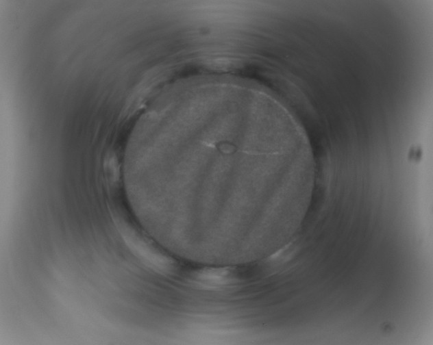 X0000113630086200910091606