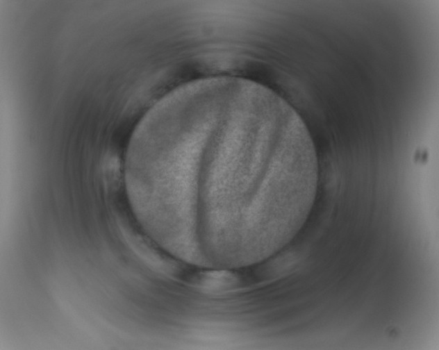 X0000113630087200910091606