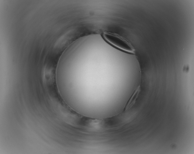 X0000113630088200910091606