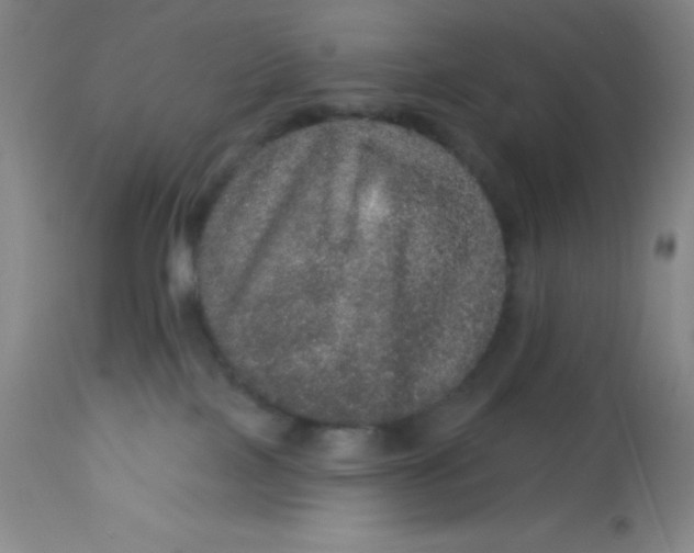 X0000113630089200910091606