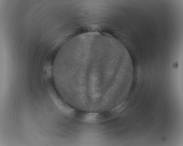 X0000113630090200910091606