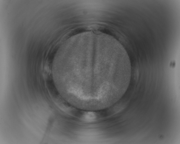 X0000113630091200910091606