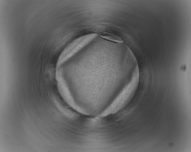 X0000113630092200910091606