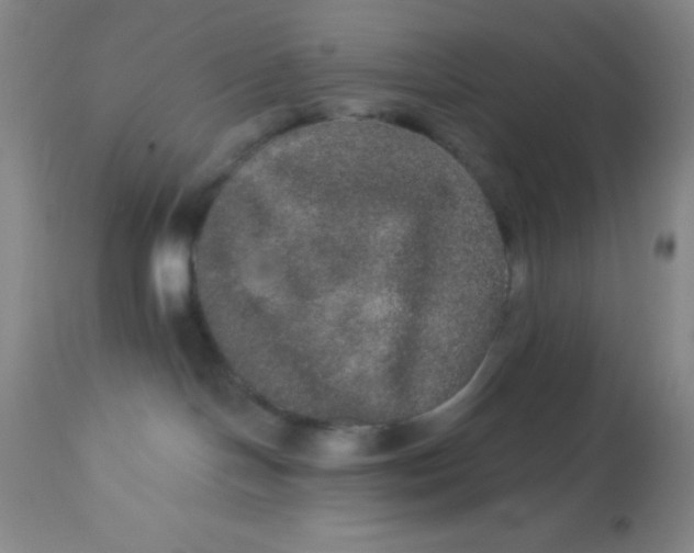 X0000113630094200910091606