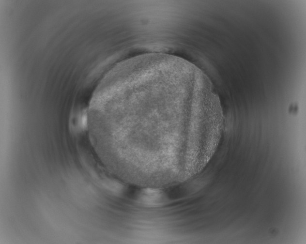 X0000113630095200910091606