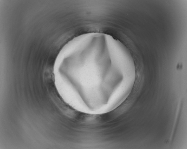 X0000113630096200910091606