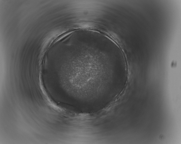 X0000113630097200910091605