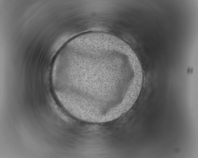 X0000113630098200910091605