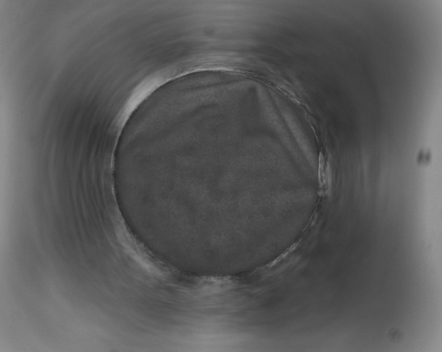 X0000113630099200910091605