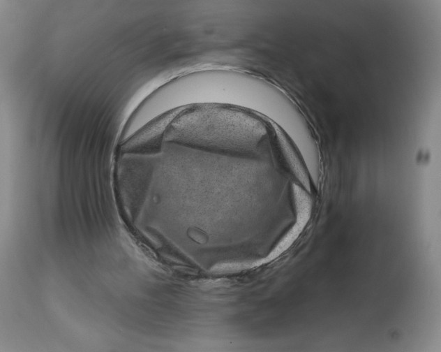 X0000113630100200910091605