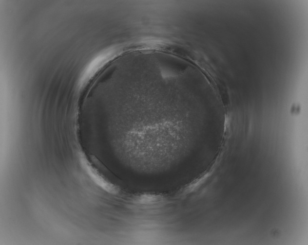 X0000113630101200910091605