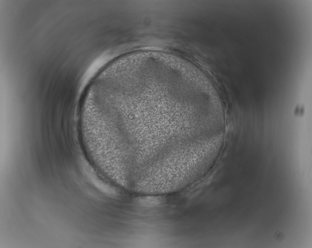 X0000113630102200910091605