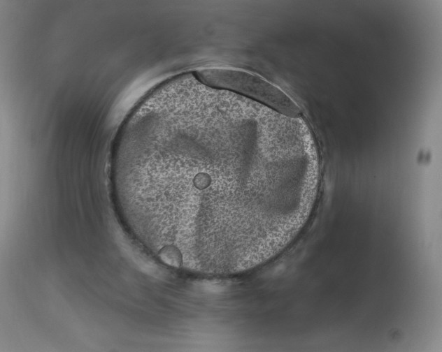 X0000113630103200910091605