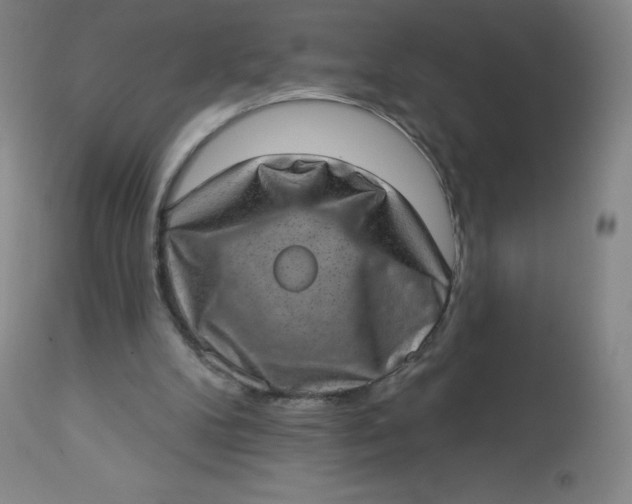 X0000113630104200910091605