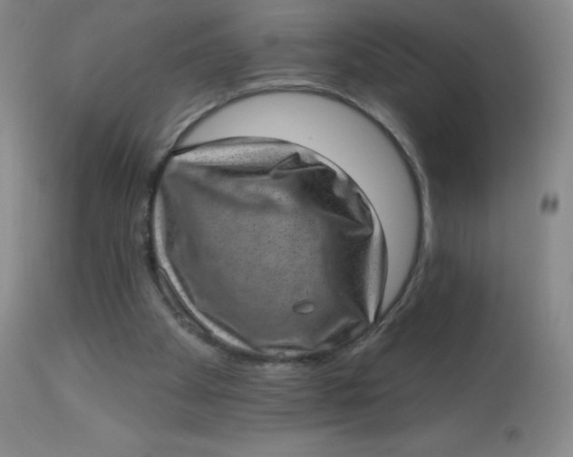 X0000113630105200910091605