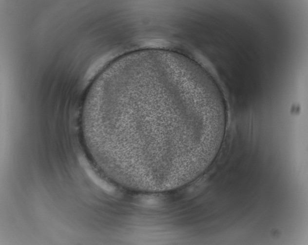 X0000113630106200910091605