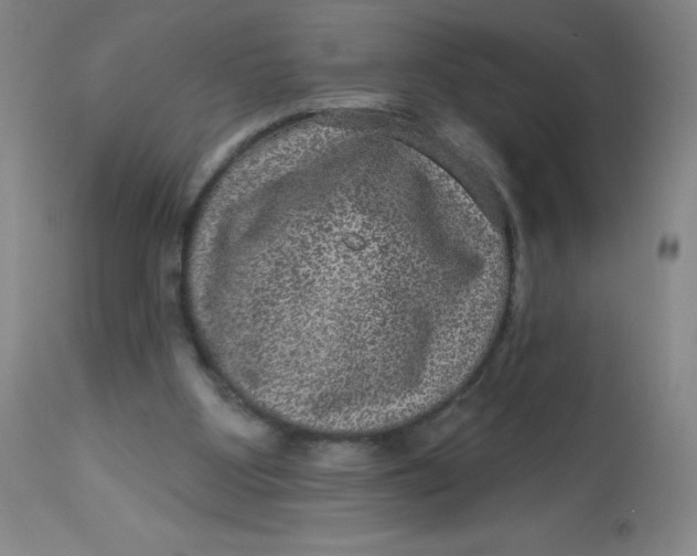 X0000113630107200910091605