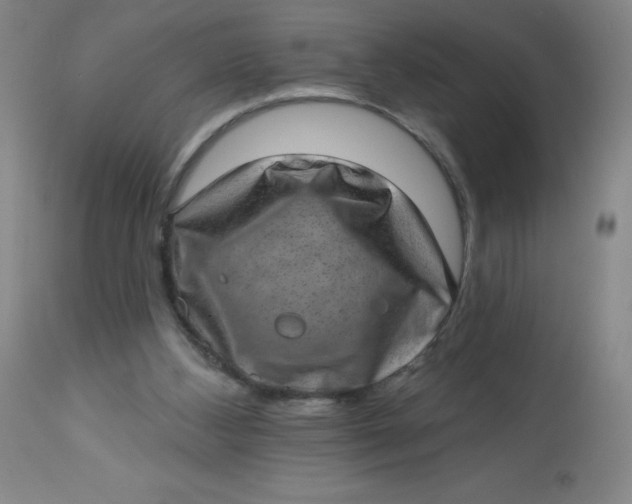 X0000113630108200910091605