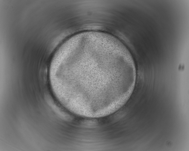 X0000113630110200910091605