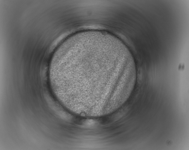 X0000113630111200910091605