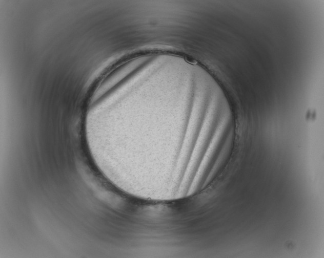 X0000113630112200910091605