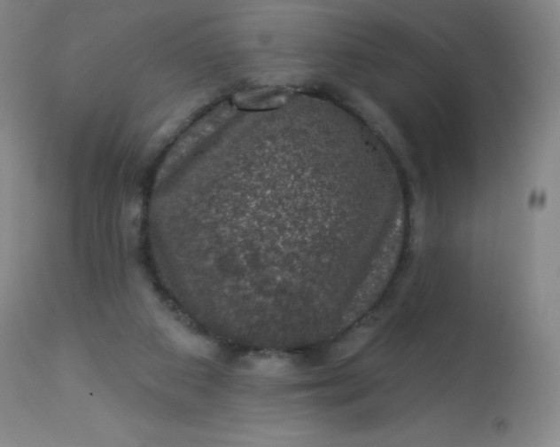 X0000113630113200910091605