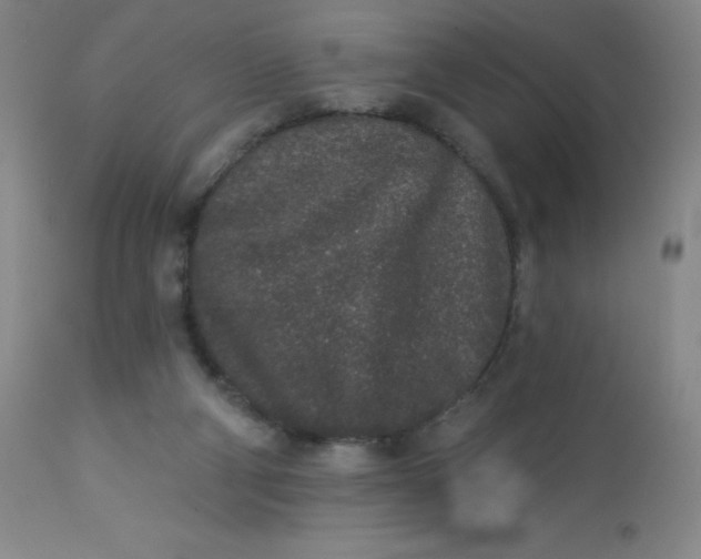 X0000113630114200910091605