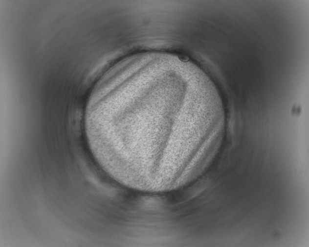 X0000113630115200910091605