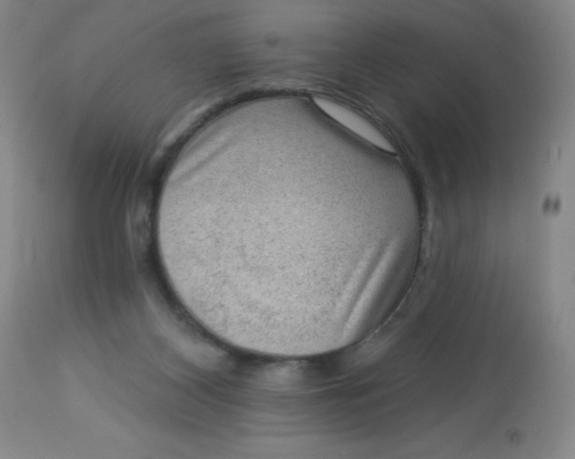 X0000113630116200910091605