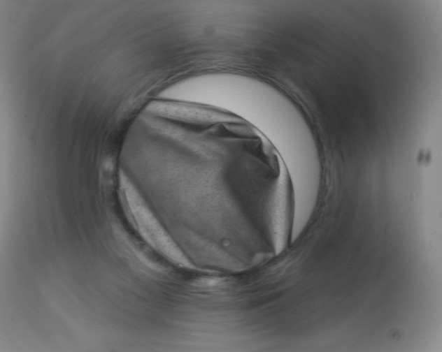 X0000113630117200910091605