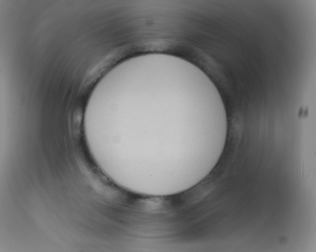 X0000113630118200910091605